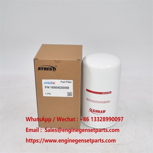 160604020055B Fuel Filter