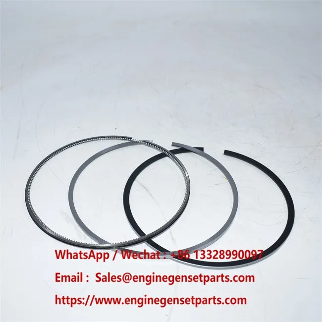 144-5695 214-6066 223-6361 Cincin Piston