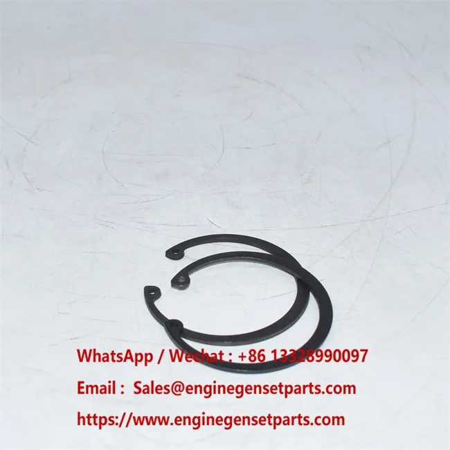 253-1238 2531238 Penahan Piston