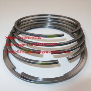 Cummins 6CT cincin Piston Kit C3919918 C3921919 C33922686